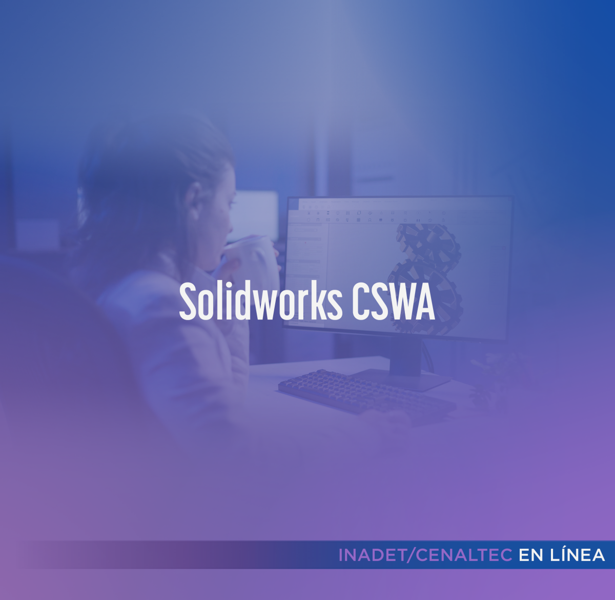 Solidworks CSWA